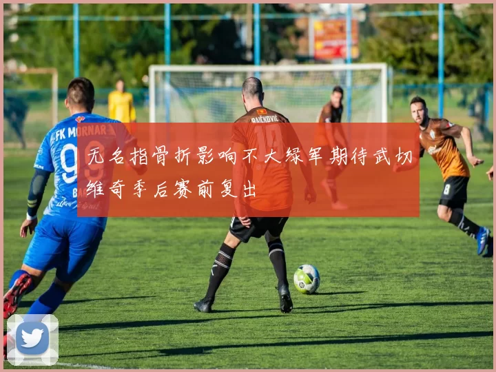 无名指骨折影响不大绿军期待武切维奇季后赛前复出